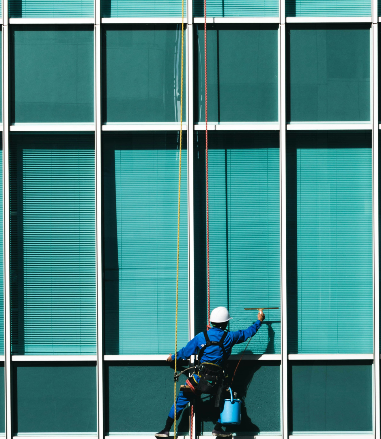 Fensterreinigung